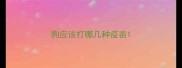 狗应该打哪几种疫苗