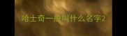 哈士奇一般叫什么名字