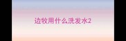 边牧用什么洗发水