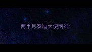 两个月泰迪大便困难