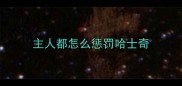 主人都怎么惩罚哈士奇