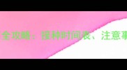 泰迪犬狂犬疫苗全攻略接种时间表注意事项及常见误区