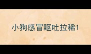 小狗感冒呕吐拉稀