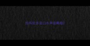拉布拉多流口水声音嘶哑