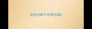边牧训练不在家拉屎