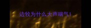 边牧为什么大声喘气