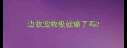 边牧宠物级就够了吗