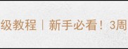 泰迪幼犬如厕训练保姆级教程新手必看3周养成定点排便小天使