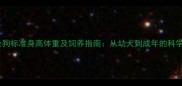 哈士奇公狗标准身高体重及饲养指南从幼犬到成年的科学养护全