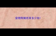 宠物狗做绝育多少钱