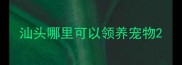 汕头哪里可以领养宠物
