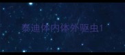 泰迪体内体外驱虫