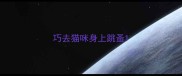 巧去猫咪身上跳蚤
