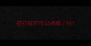 猫打疫苗可以换牌子吗