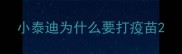 小泰迪为什么要打疫苗
