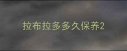 拉布拉多多久保养
