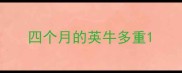 四个月的英牛多重