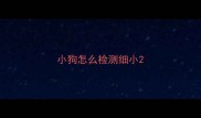 小狗怎么检测细小