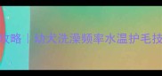 3个月萨摩耶洗澡全攻略幼犬洗澡频率水温护毛技巧附对比图