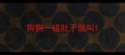 狗狗一碰肚子就叫