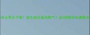 哈士奇总干呕是生病还是闹脾气这5招教你快速解决