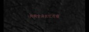狗狗全身长红疙瘩