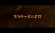 狗狗头一直向后仰