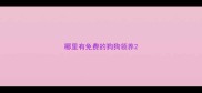 哪里有免费的狗狗领养