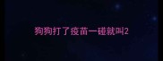 狗狗打了疫苗一碰就叫