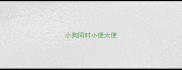 小狗同时小便大便