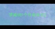 罗威纳1个月有多大