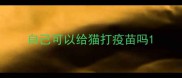 自己可以给猫打疫苗吗