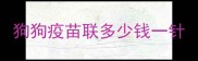 狗狗疫苗联多少钱一针