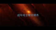 成年哈士奇犬喂养