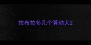 拉布拉多几个算幼犬