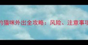 未接种疫苗的猫咪外出全攻略风险注意事项与安全指南