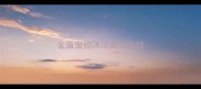 金盾宠物沐浴露怎么样