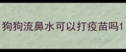 狗狗流鼻水可以打疫苗吗