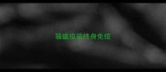 猫瘟疫苗终身免疫