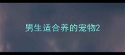 男生适合养的宠物
