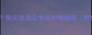猫咪身上出现黑色结痂常见原因及专业护理指南附症状识别与治疗建议