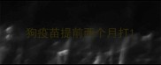 狗疫苗提前两个月打