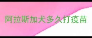 阿拉斯加犬多久打疫苗