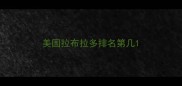 美国拉布拉多排名第几