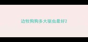 边牧狗狗多大驱虫最好