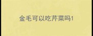金毛可以吃芹菜吗