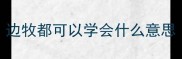 边牧都可以学会什么意思