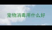 宠物消毒用什么好