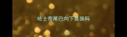 哈士奇尾巴向下是狼吗
