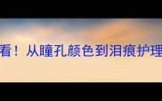 边境牧羊犬眼睛全新手必看从瞳孔颜色到泪痕护理养边牧必学的5大关键点